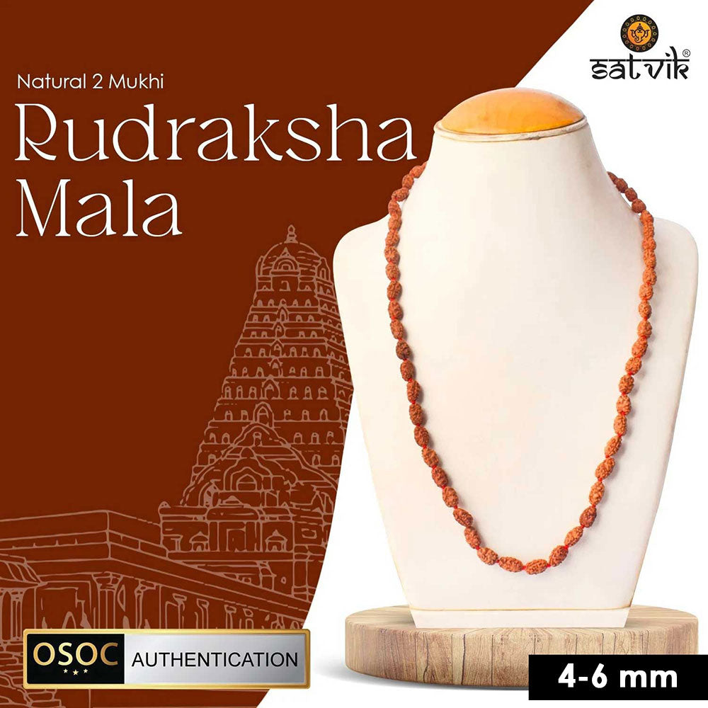 2 Mukhi Semi Pathriya Rudraksha Mala for harmony, relationships and spiritual growth. India’s Premium Rudraksha Jap Mala Store- www.satvikstore.in