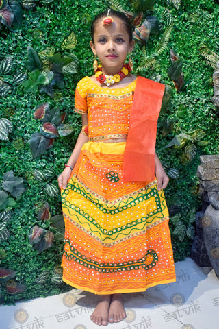 Elegant Chikankari Radha Dress for Girls – With Embellishments