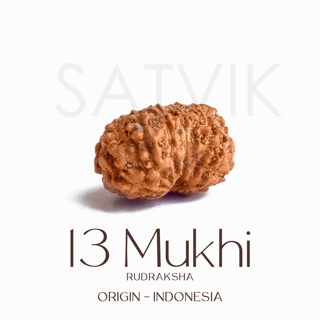 Certified 13 Mukhi Rudraksha bead in brown tone from Indo origin placed on red cloth, symbolizing charm, siddhi, and divine blessings of Venus and Kamadeva. India’s Largest Pooja Accessories Brand - www.satvikstore.in