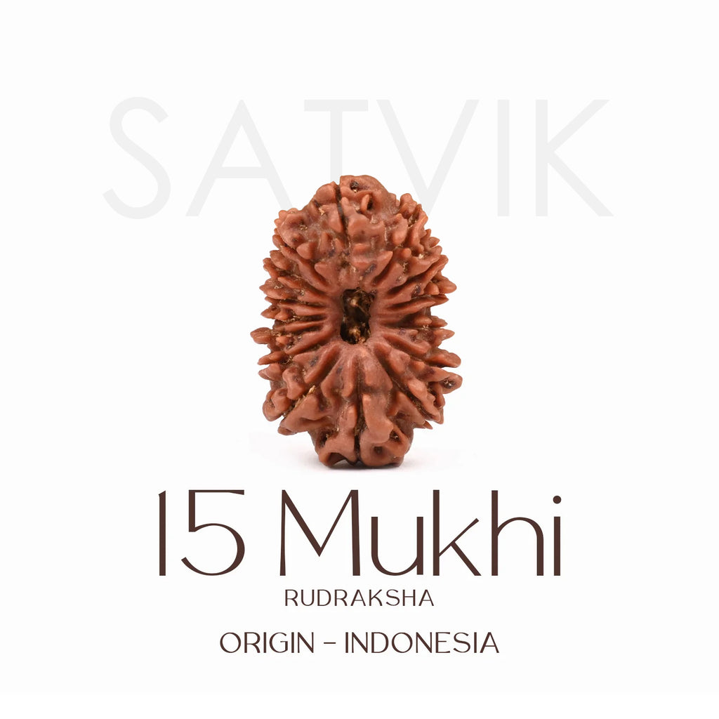 Certified 15 Mukhi Rudraksha Bead from Indonesia – Sacred natural bead representing Lord Pashupatinath, known for emotional healing, love, and spiritual elevation. India’s Largest Brass Idols Brand - www.satvikstore.in