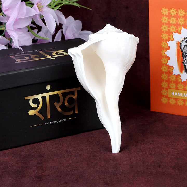 Authentic Dakshinavarti Shankh, a sacred right-handed conch shell revered for attracting wealth and positive energy, ideal for pooja, vastu, and spiritual rituals. 
India’s Largest Pooja Accessories Brand – www.satvikstore.in 