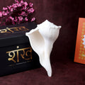 Natural Dakshinavarti Valampuri Shankh 16.5 cm sacred right-handed conch shell for puja, vastu, and spiritual rituals. India’s Largest Pooja Accessories Brand – www.satvikstore.in
