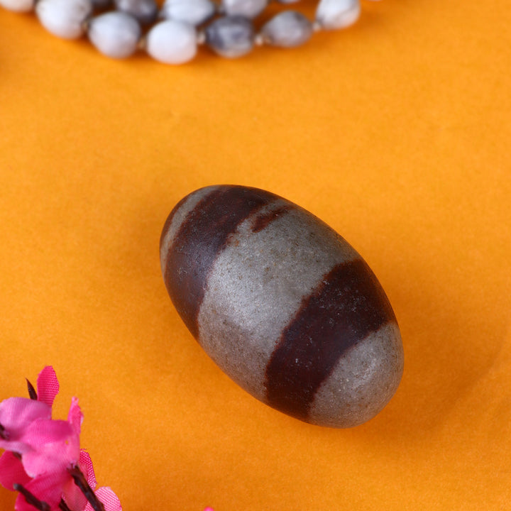Narmadeshwar Shivling for Worship – Natural Shiva Lingam from Narmada River – India’s Largest Pooja Accessories Brand – www.satvikstore.in